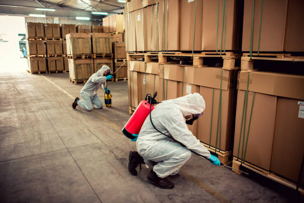 Best Bed Bug Extermination  in Dandridge, TN