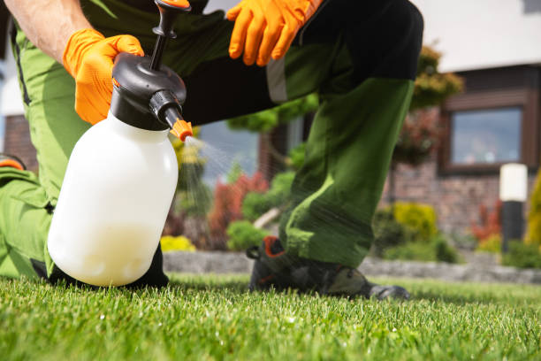 Best Insect Control  in Dandridge, TN