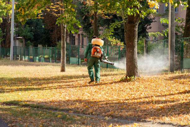 Best Affordable Pest Control Services  in Dandridge, TN